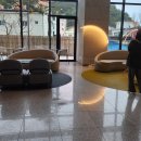 제이디푸드 | 양양 서프리조트 제이디 2박 3일 여행 후기