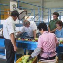 영농조합법인  우보 이미지