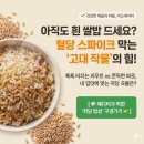 [성공 후기] -5kg 감량 부르는 '채움과 비움' 법칙! 굶지 않고 라인 만드는 현실 식단