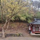 의사김응삼순절비 이미지