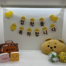 놀러오개 애견유치원 애견호텔 전주점 이미지