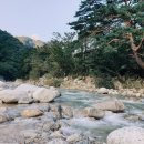 오색장군바위캠핑장 이미지