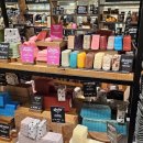 드림오브바디 이미지