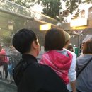 웅이민박 이미지