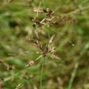 하늘지기 이미지