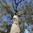 신성공원 이미지