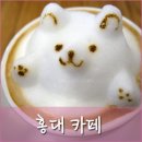 홍대 카페 라두스 : 고양이 라떼 귀여워요