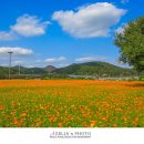 금호강1 이미지