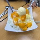 부여군청~궁남사거리 | [ 대만 여행 ⑨ ] 진천미, 타오위안 공항