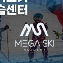 메가스키강습센터 네이버블로그