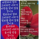 이미지까페 Daum카페