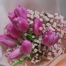 엠엔엔(주) 이미지