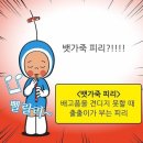 토영자갈치곰장어 이미지