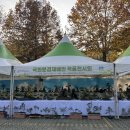 야생화천아트 이미지