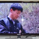 6시내고향