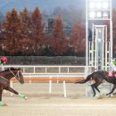 라온 스포츠서울