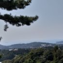 강정농장 이미지