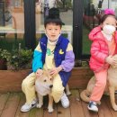 해나키즈풀빌라2 이미지