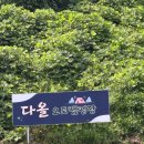 다올 오토캠핑장 이미지