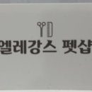 엘레강스펫샵 이미지