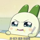 롸버트치킨 이미지