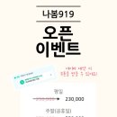 나봄919 네이버블로그