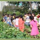 한결어린이집 이미지