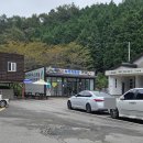 대흥사 | 가족여행 대한다원 보성녹차밭, 해남 대흥사 방문 후기