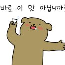 백암전통차 이미지