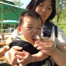 한성목장 Daum카페