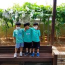 민족사관어린이집 이미지