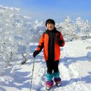 1월7~8일(1박2일) 제주도 한라산/윗세오름 눈산행, 우도, 성산일출봉 이미지
