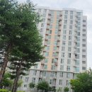 대광광고 | 고민이라면? 기존 틀을 살리는 시공이 더 좋은 이유! 천년나무3단지, 양양 대광연립 롤방충망 설치 후기