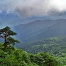 선비샘민박 이미지