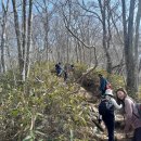 2026.03.14. 백운산(진틀마을~백운산~매봉삼거리~내회마을 8.83km 5h38m)..황산벌산악회.. 이미지