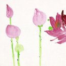 신수호 카카오 검색결과