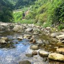 로뎀나무카페 이미지