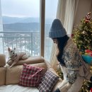 크리스마스 트리 꾸미기 , Mr christmas 움직이는 트리토퍼 , 회전 트리토퍼, 달리는 트리기차 후기