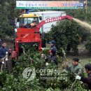 신효동-31 이미지