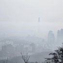 우면산3-24 이미지