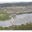 해오름농장-3 이미지