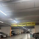 일산닭갈비맛집 고양맛집 코키오닭갈비 식사점 후기 국내산 생닭다리살100%로 부드러운 닭갈비 맛집