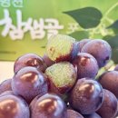 포도
