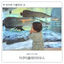 피쉬하우스수족관 | 부산 명지 아이랑 가볼만한 곳 수족관 키즈카페 아쿠아플레이하우스