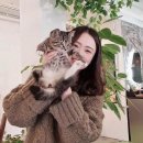 더오딘베이커리카페