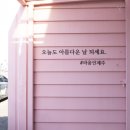 라움인제주