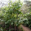 애니메이션고교 이미지