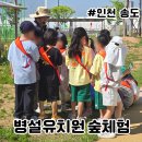 백합유치원 - 금산군 | 송도 병설유치원 6월 숲체험 학교숲 탐험