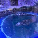 난산가옥 이미지