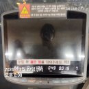 7월 줄게 가을아 빨리와!